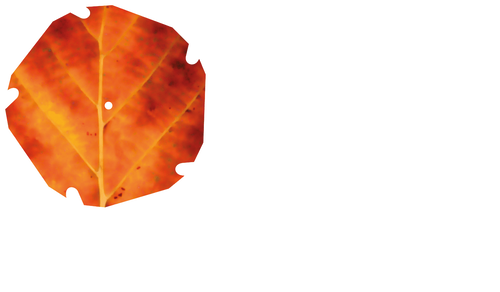 Knighton Countryside Management
