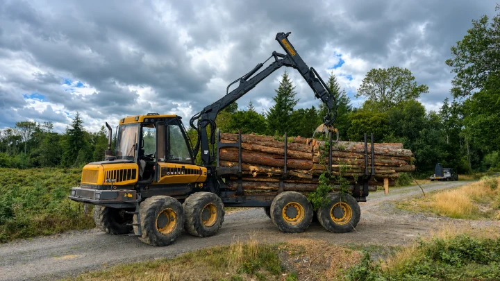 Forwarder moving timber
