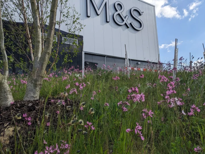 Landscaping at the new Marks & Spencer Weymouth