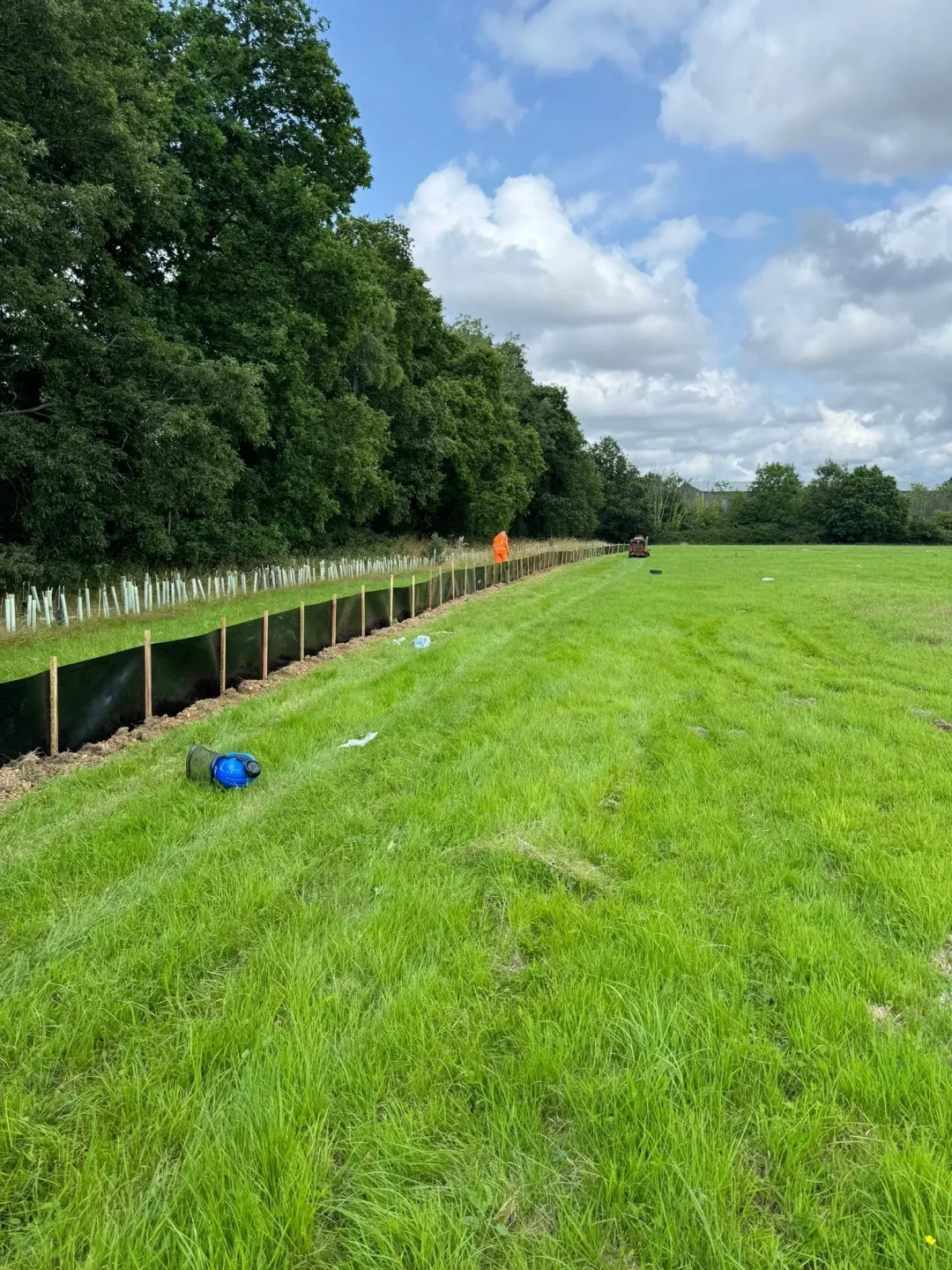 Mitigation Newt Fencing
