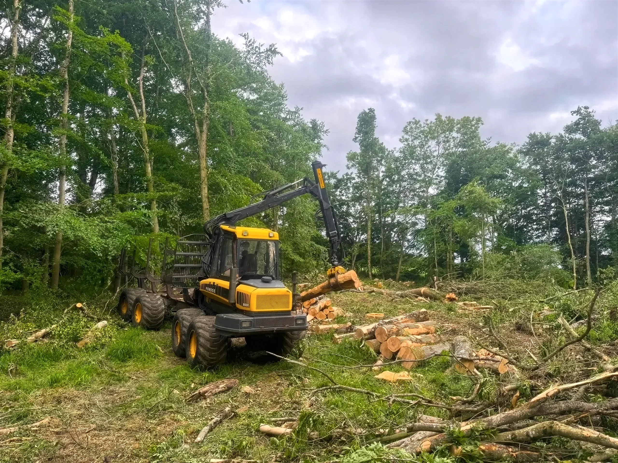Knighton Countryside Management Timber harvesting