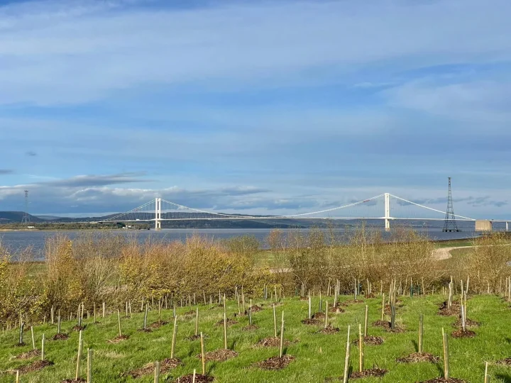 Avonmouth and Severnside Enterprise Area clearance