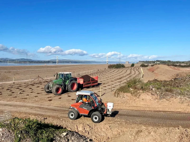 Avonmouth and Severnside Enterpries Area (ASEA) clearance