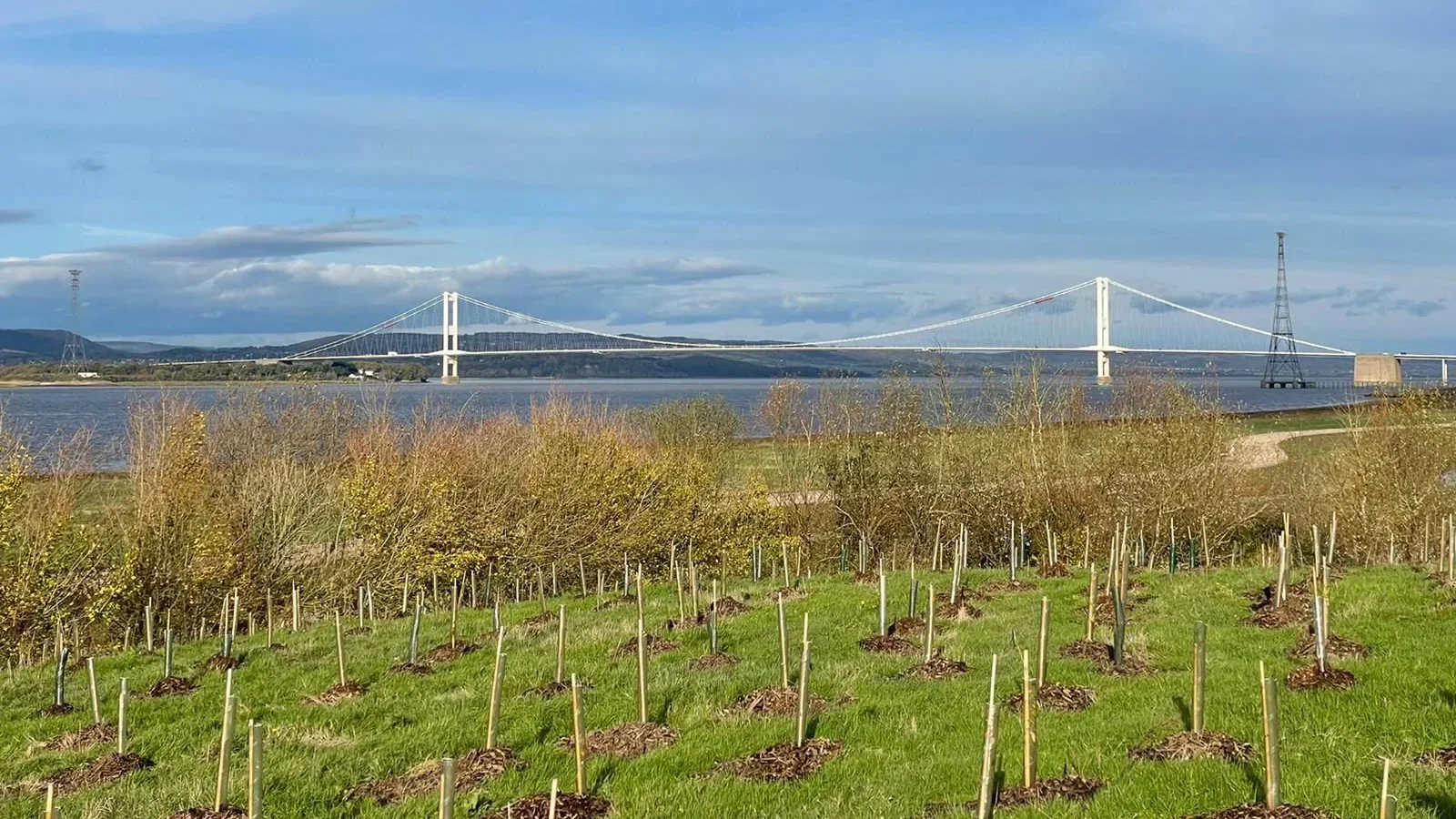 Avonmouth and Severnside Enterprise Area clearance