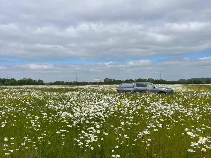 Biodiversity in action