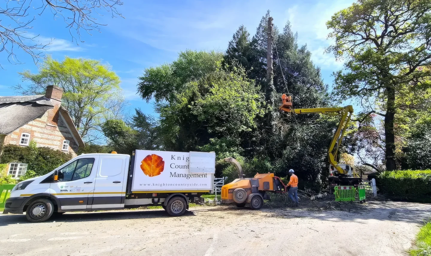 ARB Approved Arborists
