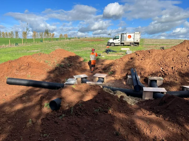 Badger Sett Mitigation