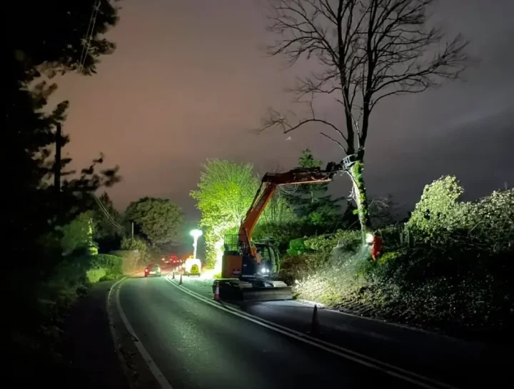 Knighton Countryside Management roadside tree management