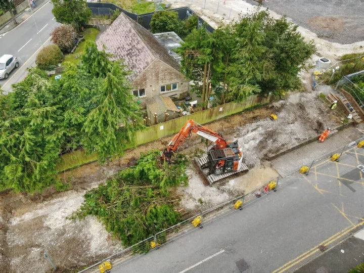 Knighton Countryside Management clearing conifers
