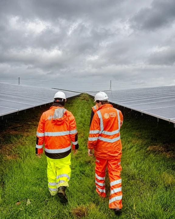 Solar Farm Site Visit