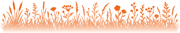 Meadow graphic