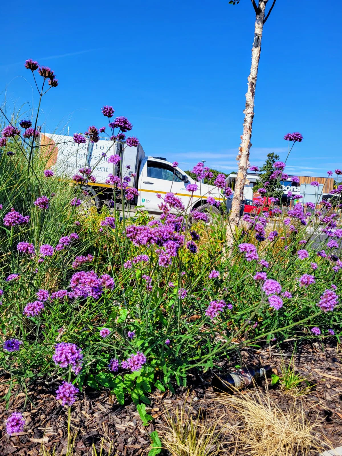 Commercial and rural landscaping