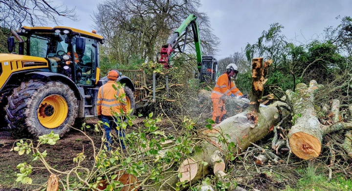 Emergency tree work
