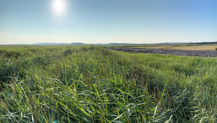 Knighton Countryside Management