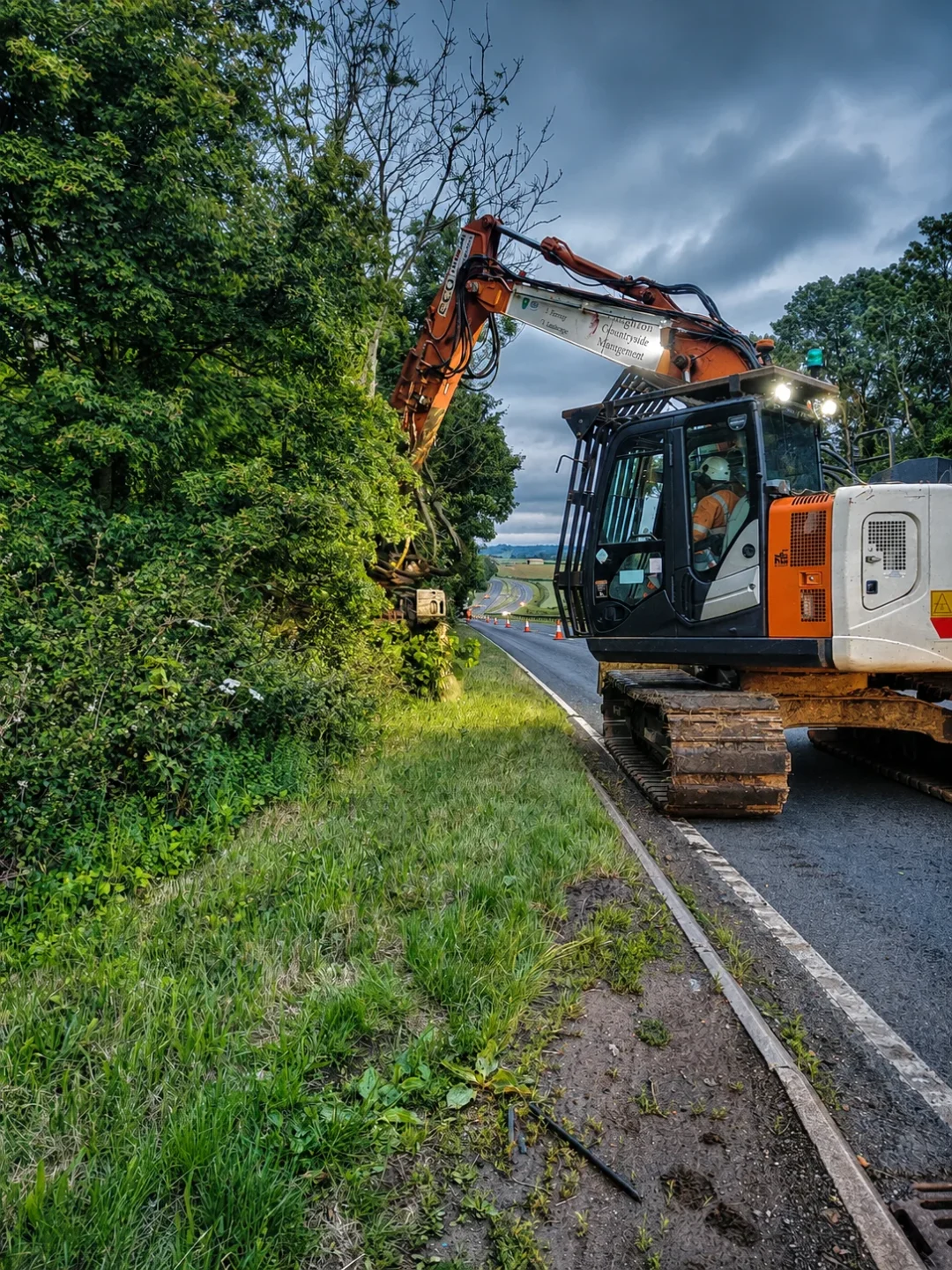 Roadside tree clearance