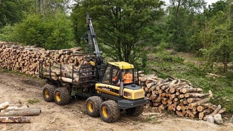 Moving logs