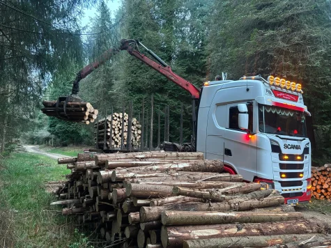 Transporting timber