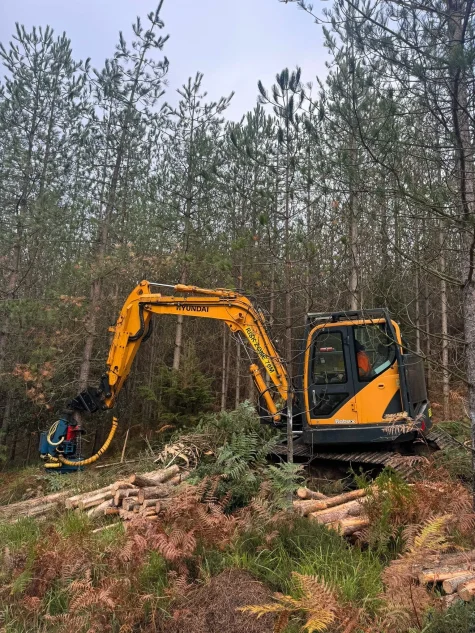 Using smaller machinery for thinning